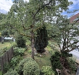 Blick Garten von OG - Seltene Gelegenheit in Seeheim: Potenzialstarke Doppelhaushälfte auf sonnigen 634 m² Traumgrundstück