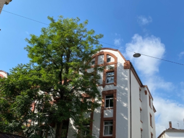 Mannheim – 11 gepflegte Wohneinheiten, 68167 Mannheim, Etagenwohnung